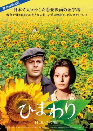 映画『ひまわり』上映会