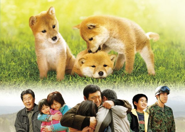 中越大震災20年事業「マリと子犬の物語」映画上映
