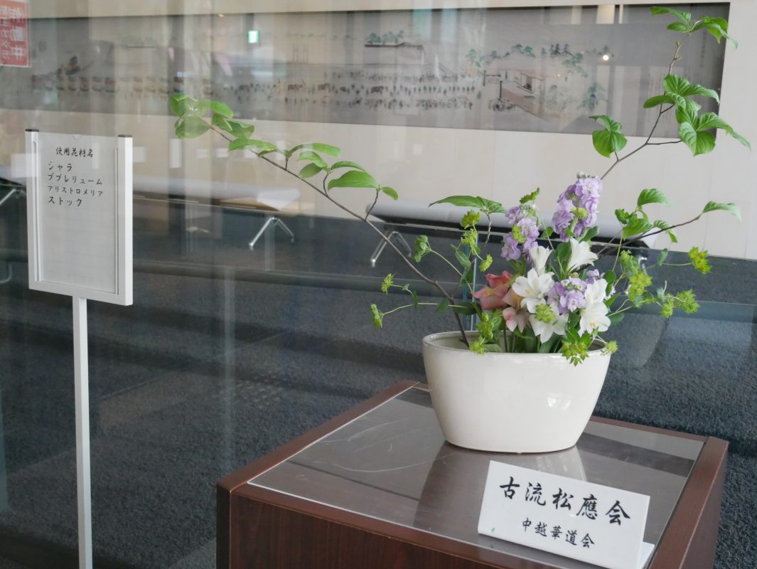 アオーレ長岡で楽しむ生け花の美
