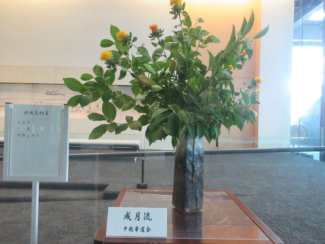 生け花の楽しみ方を考える
