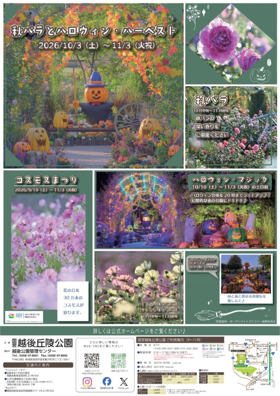 国営越後丘陵公園 コスモス&秋バラのハロウィンガーデン