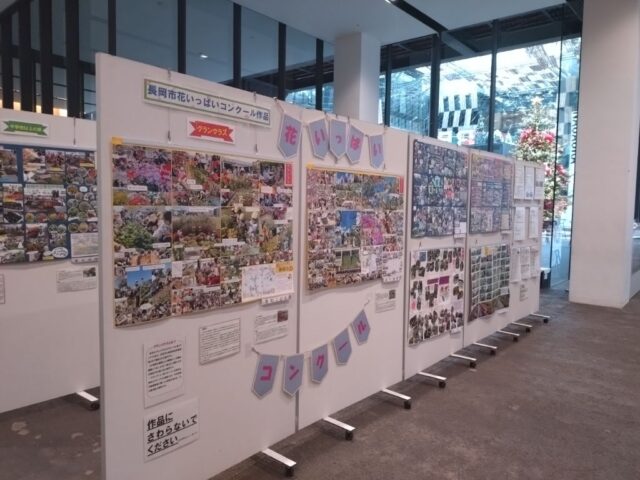 第31回長岡市花いっぱいコンクール作品展